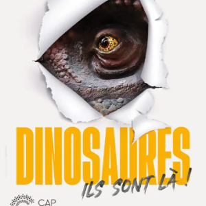 Les dinosaures