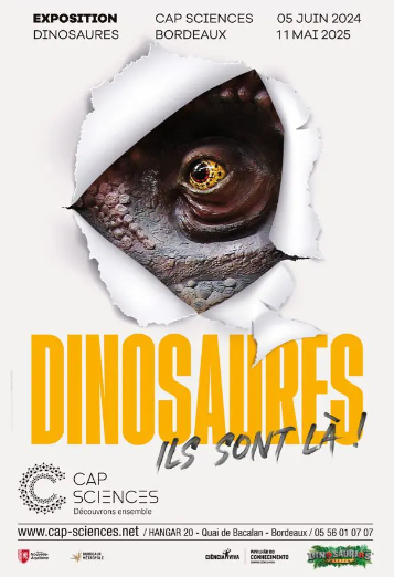 Les dinosaures